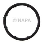 Engine Oil Cooler Line Seal