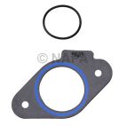 Fuel Pump Gasket
