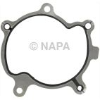 Engine Water Pump Gasket