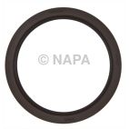 Engine Crankshaft Seal Kit