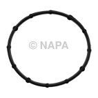 Engine Coolant Thermostat Seal