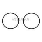Engine Water Pump Gasket