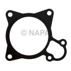 Engine Water Pump Gasket