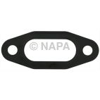 Engine Oil Cooler Gasket