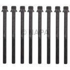 Engine Cylinder Head Bolt Set