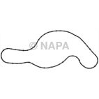Engine Water Pump Gasket
