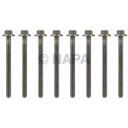 Engine Cylinder Head Bolt Set