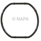 Engine Coolant Thermostat Seal