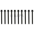 Engine Cylinder Head Bolt Set