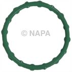 Engine Water Pump Gasket