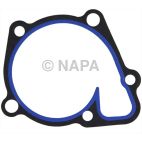 Engine Water Pump Cover Gasket