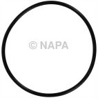Fuel Injection Plenum O-Ring