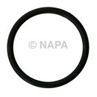 Engine Water Pump Gasket