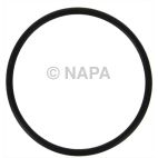 Engine Water Pump O-Ring