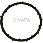 Engine Coolant Thermostat Housing Gasket