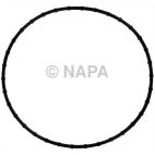 Engine Water Pump Gasket