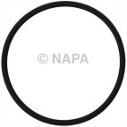 Engine Oil Cooler Seal