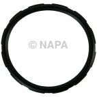 Engine Coolant Thermostat Seal