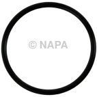 Engine Water Pump Gasket