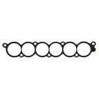 Fuel Injection Plenum Gasket Set