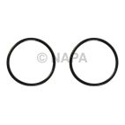 Engine Water Pump Gasket