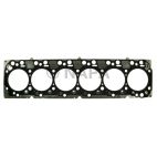 Engine Cylinder Head Gasket