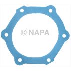 Engine Water Pump Backing Plate Gasket