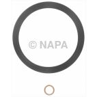 Engine Crankshaft Seal Kit