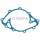 Engine Water Pump Backing Plate Gasket