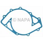 Engine Water Pump Backing Plate Gasket