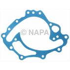 Engine Water Pump Backing Plate Gasket