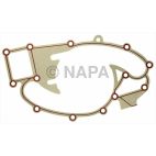 Engine Water Pump Gasket