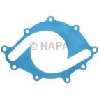 Engine Water Pump Backing Plate Gasket