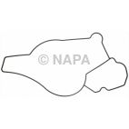 Engine Water Pump Gasket