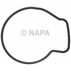 Engine Water Pump Gasket