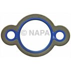 Engine Water Pump Gasket