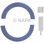 Engine Crankshaft Seal Kit
