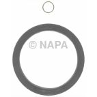 Engine Crankshaft Seal Kit