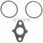 Engine Water Pump Gasket
