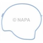 Engine Water Pump Gasket
