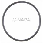 Engine Water Pump O-Ring