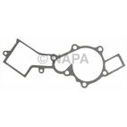 Engine Water Pump Gasket