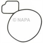 Engine Water Pump Gasket