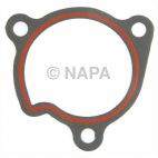 Engine Water Pump Gasket