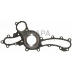 Engine Water Pump Gasket