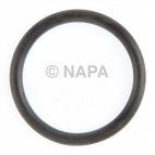 Fuel Injection Idle Air Control Valve Seal