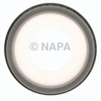 Engine Crankshaft Seal Kit