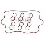 Fuel Injection Plenum Gasket Set