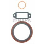 Engine Crankshaft Seal Kit