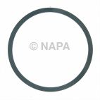 Engine Water Pump Cover Gasket